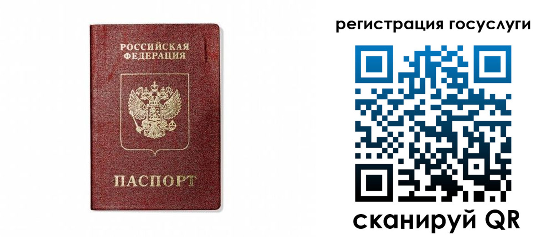 прописка паспорт в Жукове