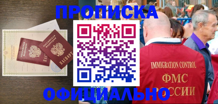 прописка 2025 в Жукове